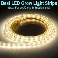 Image result for LED Grow Light Strips