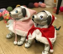 Image result for Aibo Clothes
