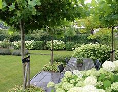 Image result for tuin