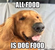 Image result for Dog Food Meme