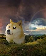 Image result for Doge Meme Dank