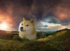 Image result for Dodge Dog Meme Wallpaper