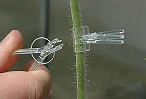 Image result for Spring Loaded Grafting Clips