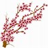 Image result for Cherry Blossom Tree Cartoon