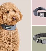 Image result for Smart Dog Collar