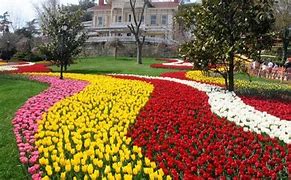 Image result for Istanbul Tulip Festival