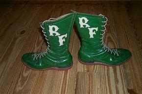 Image result for Ric Flair Boots
