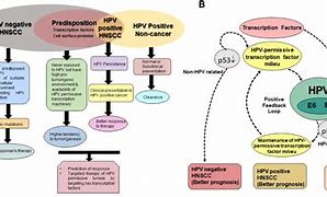 Image result for HPV Cure