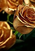 Image result for Golden Metalic Rose