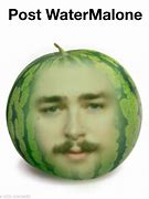 Image result for Watermelon Meme Post Malone