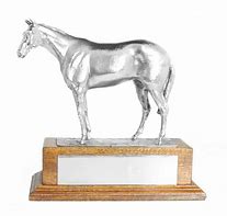 Image result for Silver Horse Trophy