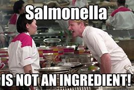 Image result for Salmonella Meme