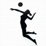 Image result for Volleyball Spike Logo