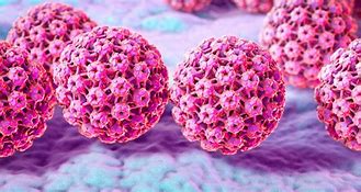 Image result for HPV Genital Warts Man