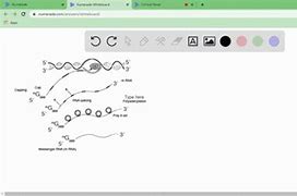 Image result for Exon Science Examples