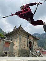 Image result for Wudang Kung Fu