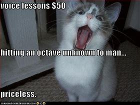 Image result for Lolcats Classic