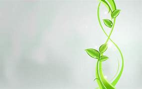 Image result for Green Plant Pattern
