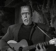 Image result for Munsters Funny