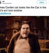 Image result for Cats Movie Meme