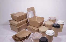 Image result for Fast Food Biodegradable Stylish Packaging