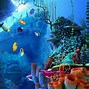 Image result for underwater screen savers