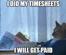 Image result for Timesheet Reminder Cat