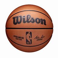 Image result for NBA Basketball Ball