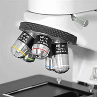 Image result for 100X Microscope Lens