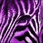 Image result for Purple Loepard Print