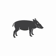 Image result for Silhouette Pic of Wild Boar