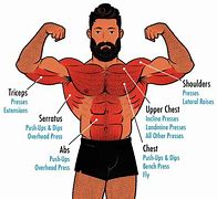 Image result for Push Day Workout