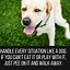 Image result for Humorous Dog Quotes