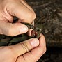 Image result for Plastic Round Carabiner