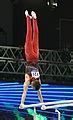 Image result for 3M Apy305 Parallel Bars