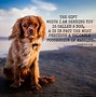 Image result for Husky Dog Quotes