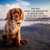 Image result for Special Dog Sayings