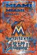 Image result for Miami Marlins Poster