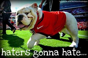 Image result for Funny Georgia Bulldog