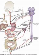 Image result for ent�ricp