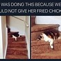 Image result for Cat Owners Sick Meme