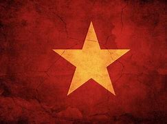 Image result for Vietnam Flag Banner