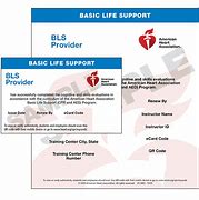 Image result for BLS Provider
