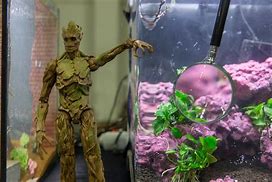 Image result for Baby Groot Spraying