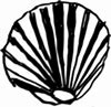 Image result for Quahog Clam Shells