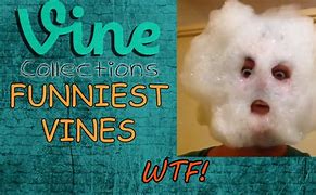 Image result for Funny Vines Videos