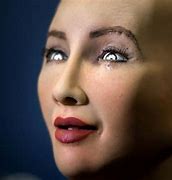 Image result for First Humanoid Robot