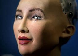 Image result for Silicone Robot Girl