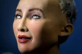 Image result for Human-Robot Sophia