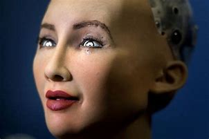 Image result for Sofia Humanoid Robot